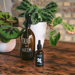 Olio di Neem: un elisir di salute per le piante (e non solo!)