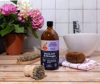 SPAZZOLINE PER I PIATTI E SAPONE SOLIDO PER PIATTI