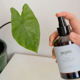 Spray per la pulizia e la salute delle foglie