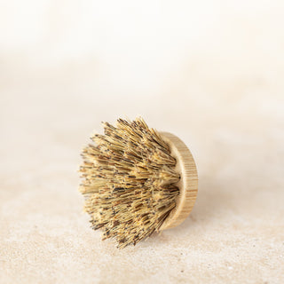 Testina di ricambio per Spazzola piatti e Pot brush