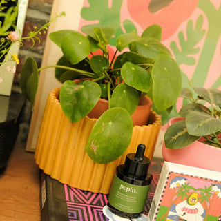 Vaso autoirrigante Paula (M) – Giallo senape