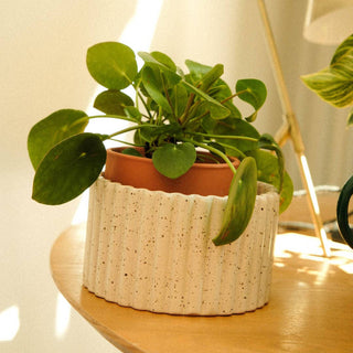 Vaso autoirrigante Paula (M) – Bianco Maculato