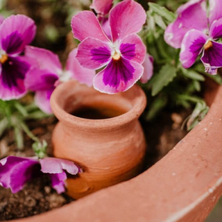 Cono di irrigazione per piante