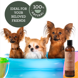 Bagno per Cani Generosa – Sapone Liquido all'Oliva & Karité 200 ml