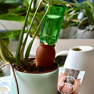 Cono di irrigazione per piante