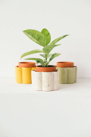 Vaso autoannaffiante Paulita (S) - Verde salvia