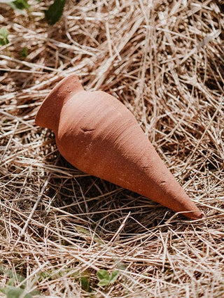 Cono di irrigazione per piante