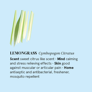 Olio Essenziale al Lemongrass