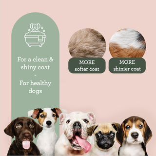 Bagno per Cani Generosa – Sapone Liquido all'Oliva & Karité 200 ml