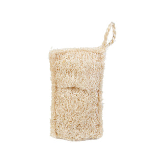 Spugna in luffa