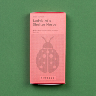 Erbe Rifugio per Coccinelle