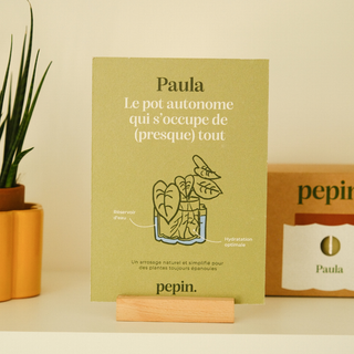 Vaso autoirrigante Paula (M) – Bianco Maculato