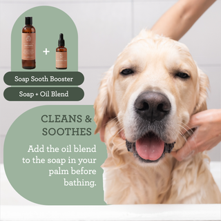 Bagno per Cani Generosa – Sapone Liquido all'Oliva & Karité 200 ml