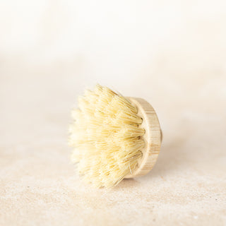 Testina di ricambio per Spazzola piatti e Pot brush