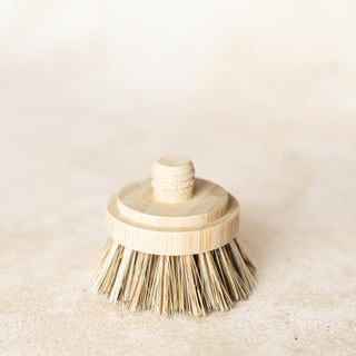 Testina di ricambio per Spazzola piatti e Pot brush